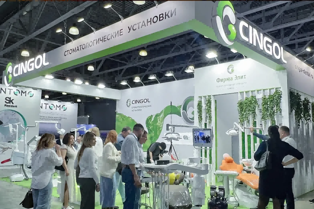 cingol (11)